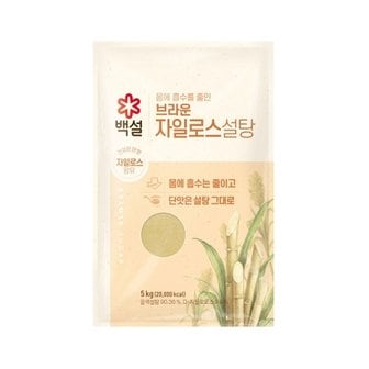  백설 브라운 자일로스 설탕 5kg x1개