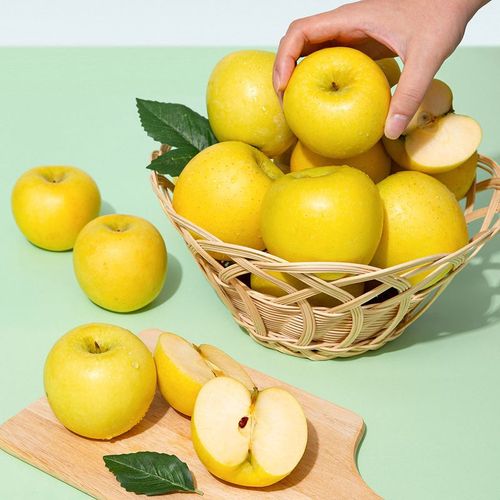 상품 이미지 3