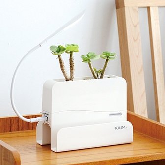 핫트랙스 [Kium] SMART LED FLOWER POT (조명 화분)