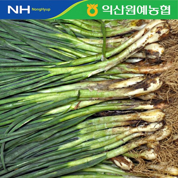 확대된 대표 상품이미지1