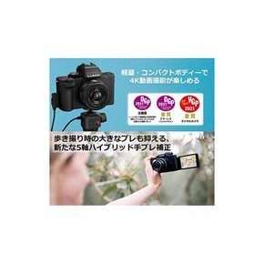 파나소닉 Vlog 미러리스 일안 카메라 루믹스 G100K 표준 줌 렌즈 키트 블랙