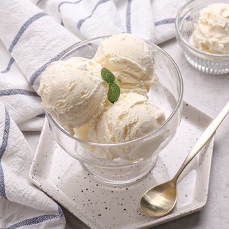 바른씨 라벨리 프리미엄 아이스크림 바닐라맛  4L 벌크/원유40%