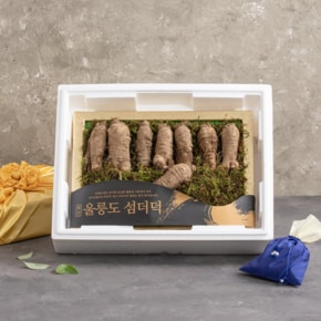 더덕/수삼/버섯세트
