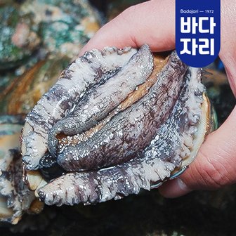 바다자리 [산지직송] 완도 활전복 1kg 완도전복 산소포장 참착한전복 9-10미