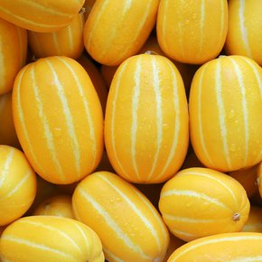 [유명산지] 성주 참외 1kg 못난이 (혼합과)