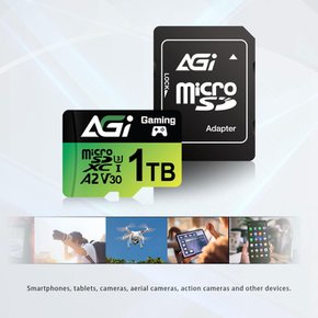 AGI 1TB TF138 sd Nintendo Switch MicroSDXC A2 U3 V30 4K UHS-I U3 마이크로 카드, 동작 확인