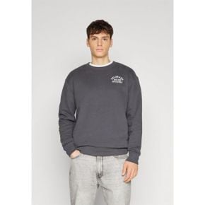 4401569 Hollister Co. DESTINATIONS CREW - Sweatshirt asphalt