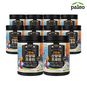 팔레오 고칼슘 산양유 단백질 프로틴 280g 10통 홈쇼핑상품 공식판매