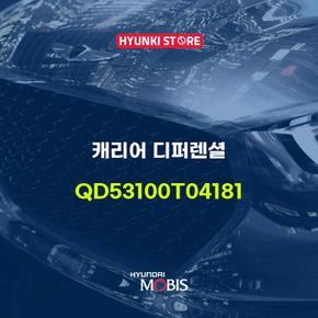 캐리어 디퍼렌셜 (QD53100T04181)