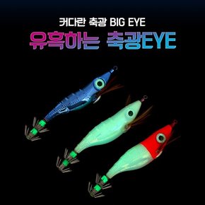 삐까뻔쩍 부리부리 왕눈이에기 쭈꾸미낚시채비 바다
