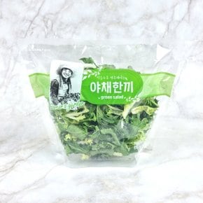 야채한끼 그린샐러드 80g x 1팩/es 질소충전