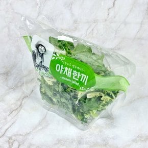 야채한끼 그린샐러드 80g x 1팩/es 질소충전