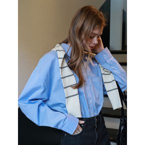 Oversized Eden Stripe Shirt Blue