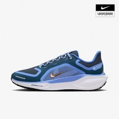 우먼스 나이키 페가수스 41 GORE-TEX NIKE FQ1357-400