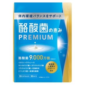 PREMIUM [1알에 생의 부티르산균이 9000만개] 부티르산균의 은혜 [비피더스균유산균4종의