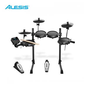 ALESIS 알레시스 전자드럼 터보 Turbo Mesh kit