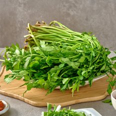 자연진리 당일수확 향긋한 한재 미나리 1kg