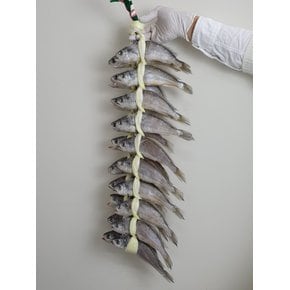 영광굴비 참굴비 가정용선물세트 20미 1.6kg