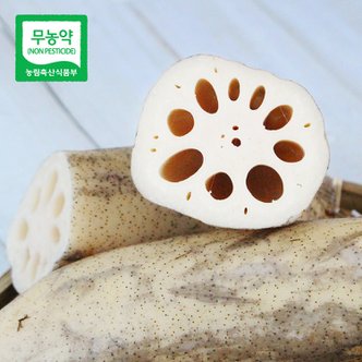 친환경팔도 [산지직송] 경산 세척 무농약 연근 2kg