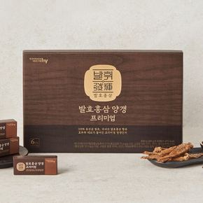 한국야쿠르트 발휘 홍삼양갱 프리미엄 40g x 15개 600g