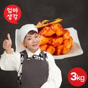김수미 엄마생각 총각김치 3kg