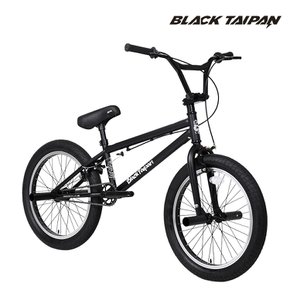 블랙타이판 포티튜드 20인치 하이텐강 입문용 묘기용 BMX 자전거 페그포함