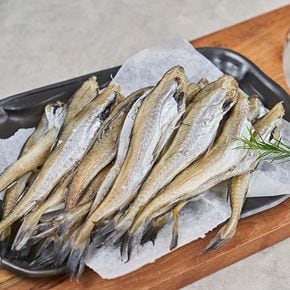 촉촉한 노가리 50미/총 5팩[35038186]
