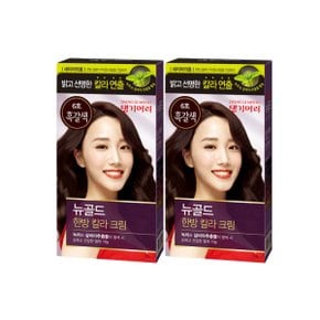 뉴골드 한방 칼라 크림 염색약 흑갈색 6호x2개 염색