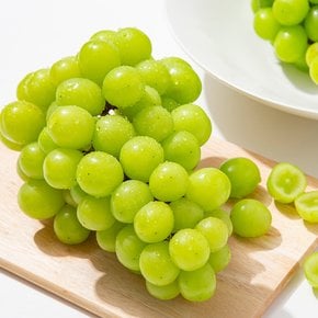 [더조은] 당도보장 샤인머스캣 (가정용) 2-4수 1.5kg / 에어팩 포장