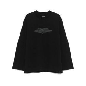 ROA Graphic Longsleeve (RBMW0252JY20-BLK0001) (그래픽 롱 슬리브 티) 2260192