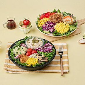 [매일배송] 디자인밀 그린Meal+ 1주/총5일