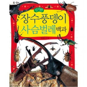신기한 장수풍뎅이 사슴벌레 백과 (어린이 과학백과 10) [양장]