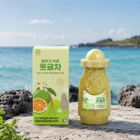 제주도 청귤청 청귤차 300g 답례품 제주 과일청 선물세트 에이드