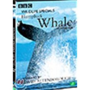 (DVD) 혹등고래 : 와일드라이프 스페셜