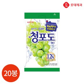 (1005560) 청포도 캔디 153gx20봉