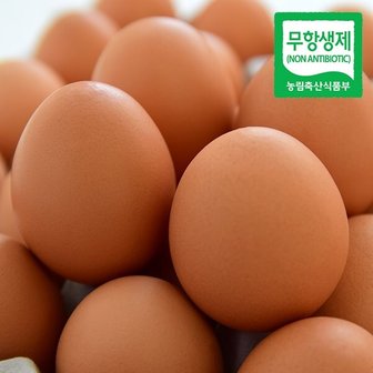 자연맛남 난각번호1번 무항생제 유정란 40구