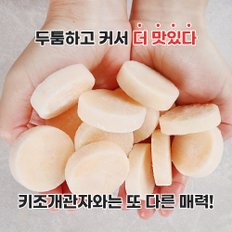 간편한 손질 냉동 둥근가리비관자 500g 관자요리 가리비치즈구이