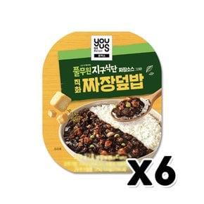 풀무원 지구식단 짜장덮밥 즉석간편식 320g x 6개