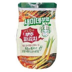 새미네부엌 부추파김치양념 120g x 2개 c45018