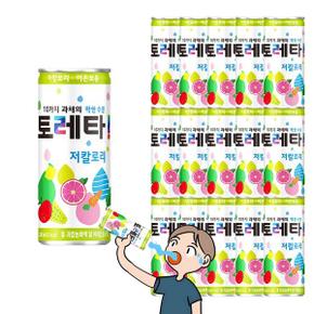 토레타 240ml 30캔 스포츠 음료 수분보충