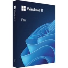 윈도우 / MICROSOFT 11 프로   처음사용자용 한글