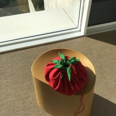 Tomato Pouch