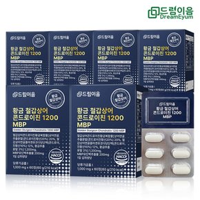 드림이음 황금 철갑상어 콘드로이친 1200 MBP 6형 철갑상어연골 6개월분