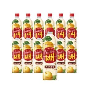 갈아만든 배 1L x 12페트