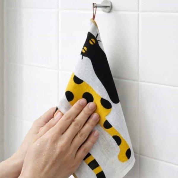 확대된 대표 image1
