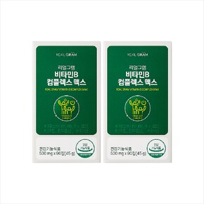 G[리얼그램] 비타민B 컴플렉스 맥스 500mg x 90정 2박스(6개월분)