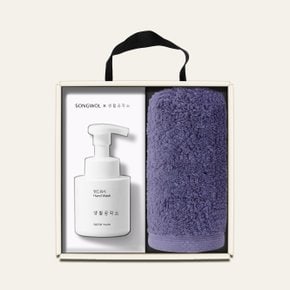 송월타올 답례품 수건 핸드워시 선물세트 40수 160g 댄디코마 1장