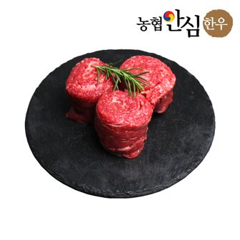 팸쿡 농협안심한우 1등급 불고기 300g