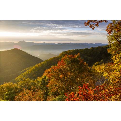 https://media.eoding.com/media/travelagent/40/imagecontent/cm270032407.jpg