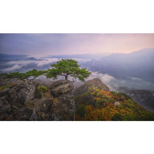 https://media.eoding.com/media/travelagent/40/imagecontent/tc00390000957.jpg